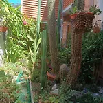 Anyrcoy